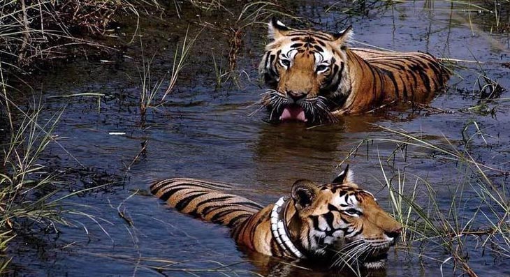 Chhattisgarh , Madhya Pradesh Tour Package