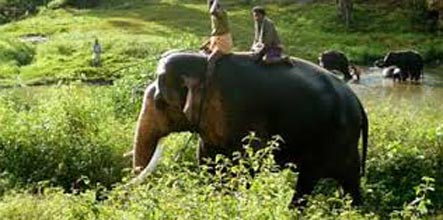 Ooty Romantic Honeymoon Tour Package