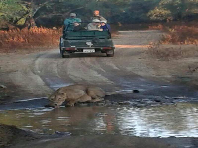 Kanha Jabalpur Tour Operator