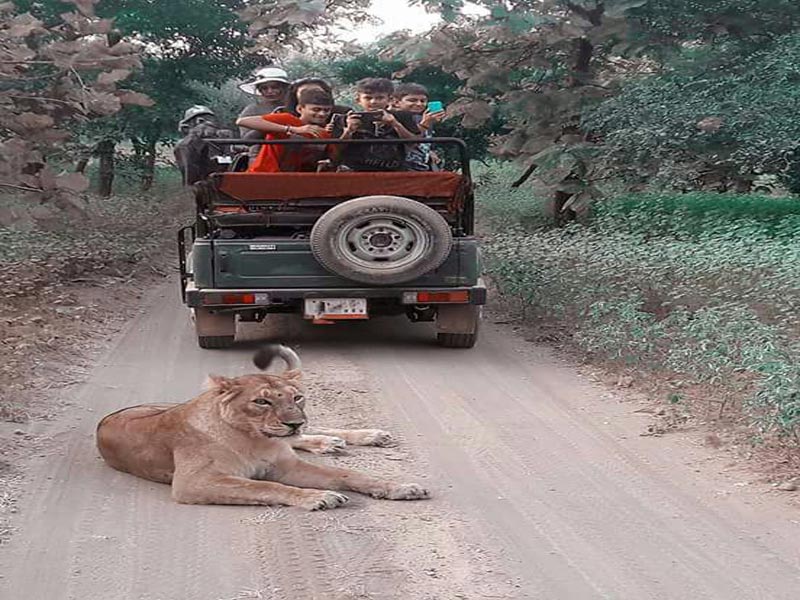 Dwarka Somnath Diu Gir Tour Package