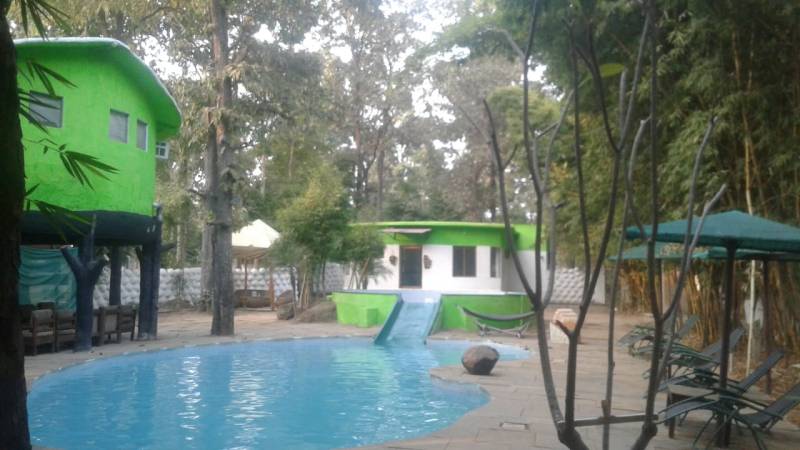 Kanha Tour Operators