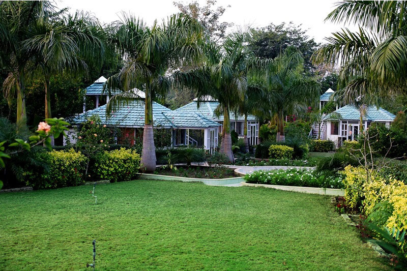 Kanha National Safari Package MP