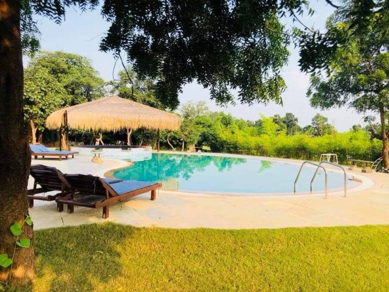 Umred Karhandla Wildlife Sanctuary Tour Package From Nagpur