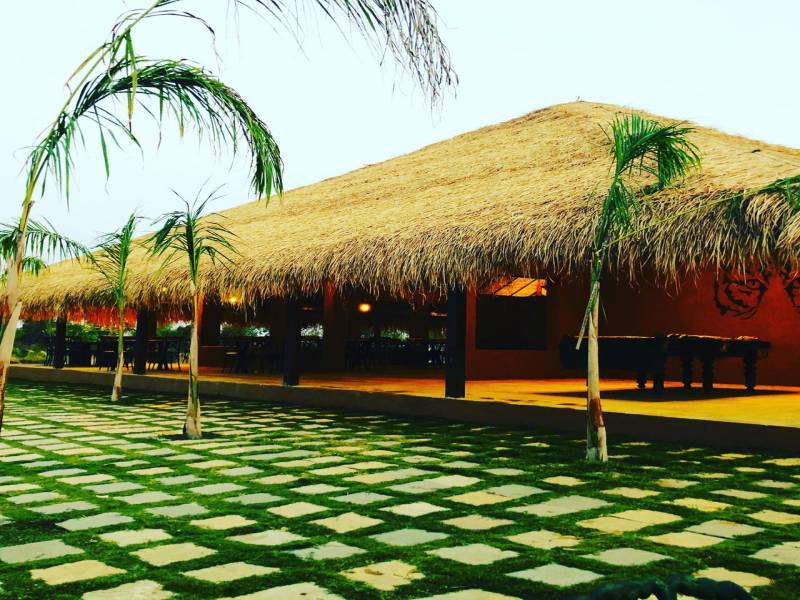 Umred Karhandla Wildlife Sanctuary Tour Package From Nagpur