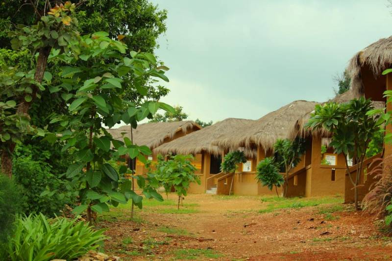 Umred Karhandla Wildlife Sanctuary Tour Package From Nagpur