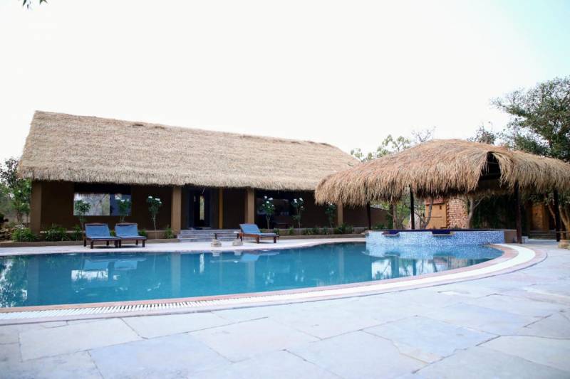 Umred Karhandla Wildlife Sanctuary Tour Package From Nagpur