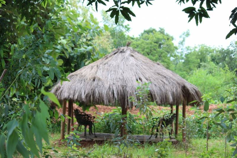 Umred Karhandla Wildlife Sanctuary Tour Package From Nagpur