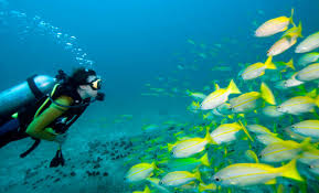 Andaman Honeymoon Tour