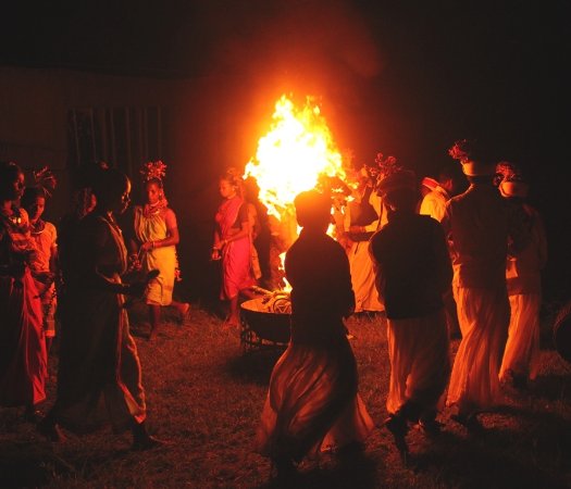 Hotel and Resort At Kanha National Park