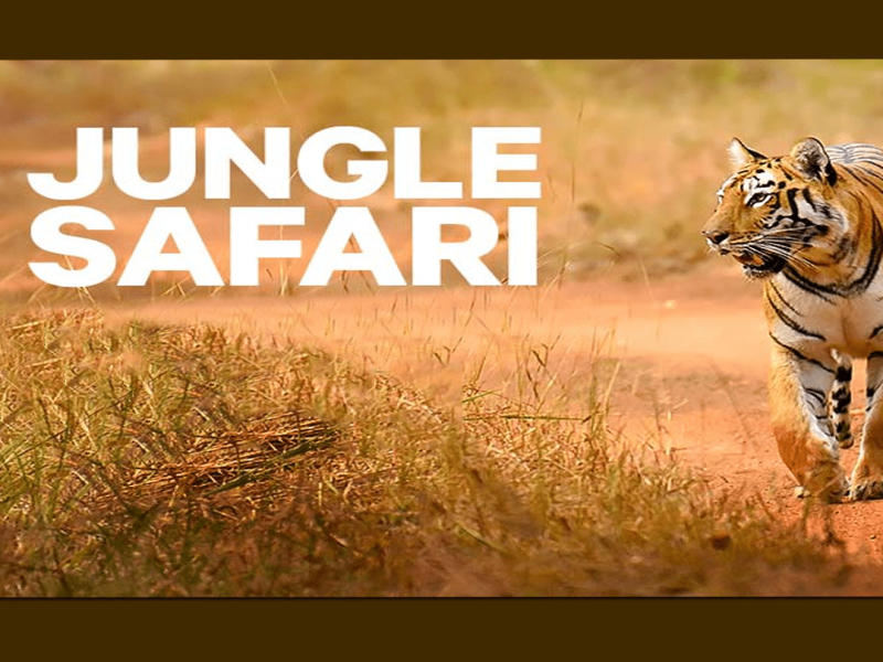 Bandhavgarh Kanha tour Package from Mumbai