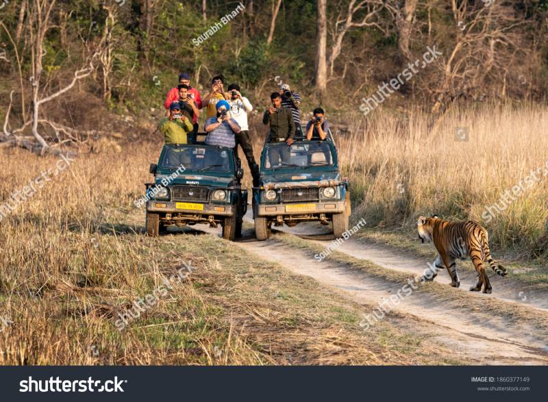 Kanha Tiger Reserve Safari Booking