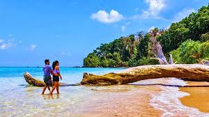 Andaman Tour Package