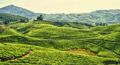 Coorg, Mysore And Ooty Tour