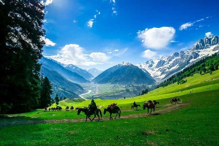 Kashmir - Heaven On Earth For 05 Nights 06 Days With Gulmarg Stay