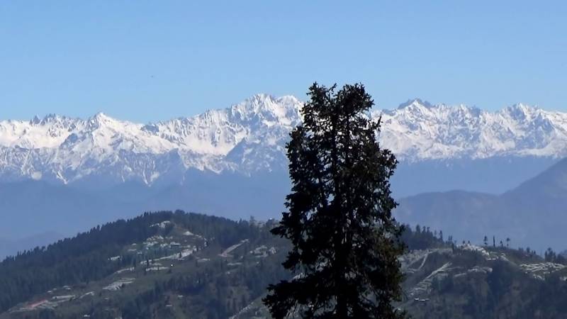 Howdy Trip To Shimla- Narkanda Tour