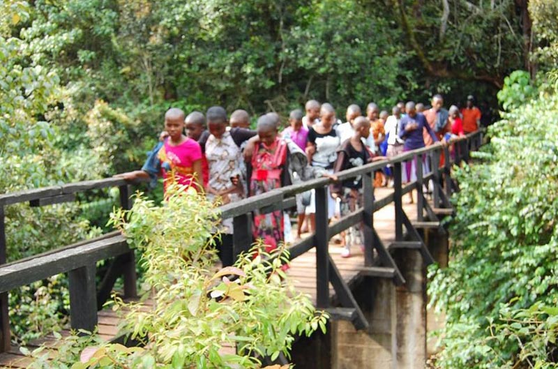 5 days marangu route climbing Tour