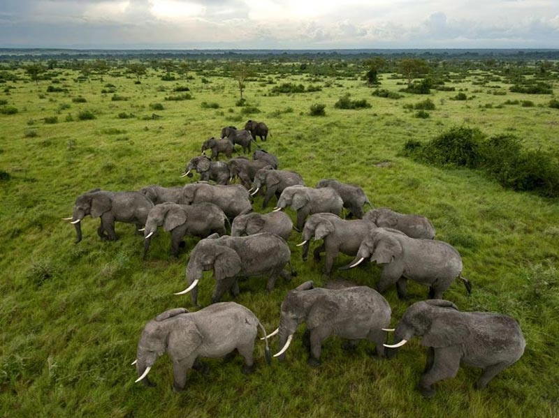 Serengeti To Ngorongoro Conservation Area Tour
