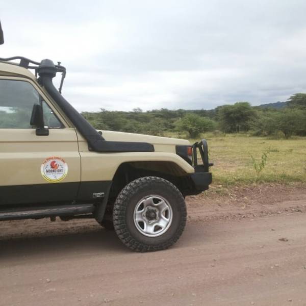 8 Days Tanzania Romantic Safari With Us Package