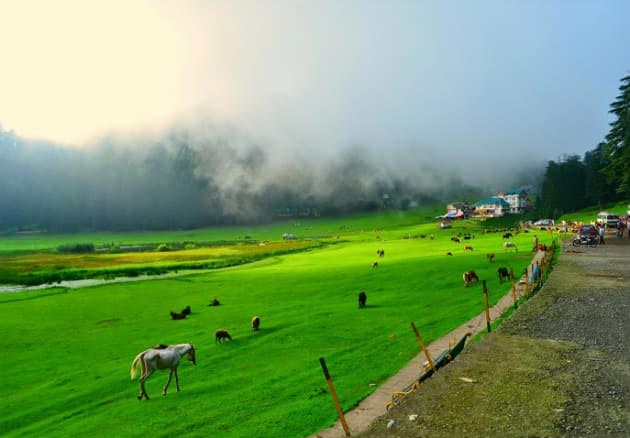 Dreams Of Himachal Tour Package