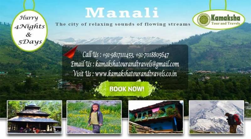 Himachal New Year Family Package Tour