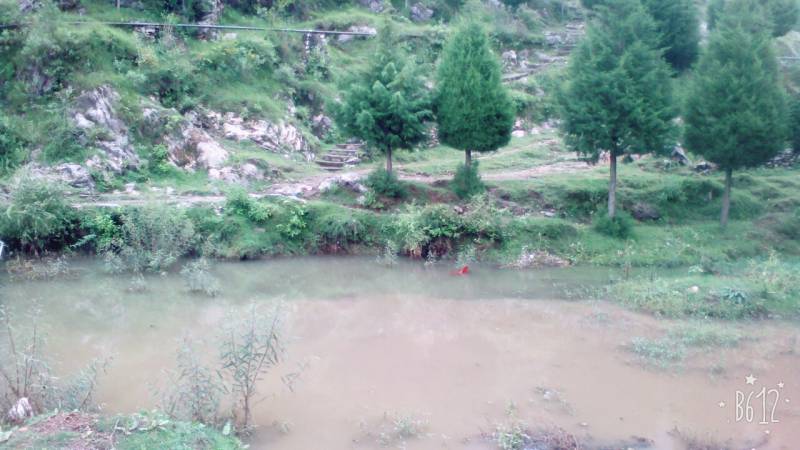 Datti Village Kufri Trek Package