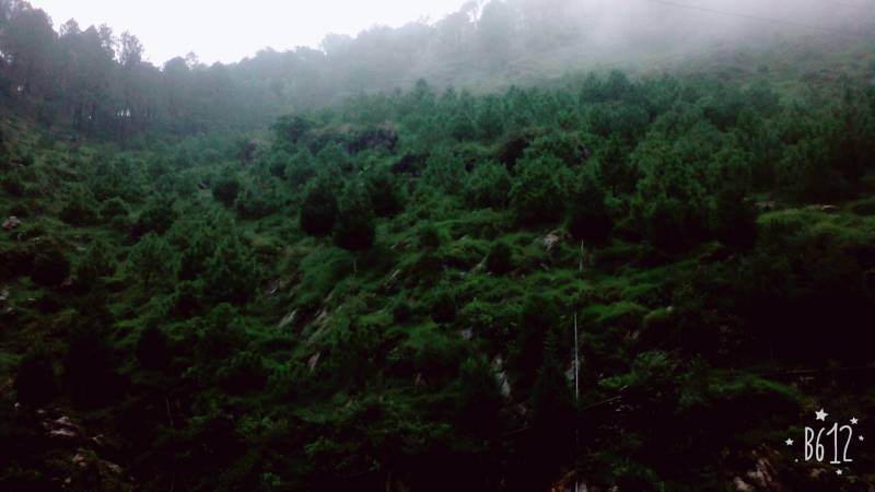 Datti Village Kufri Trek Package