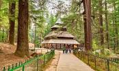 Dharamshala Friendly Tour Package
