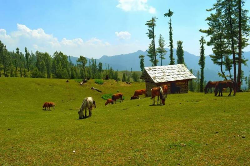 Jalori-tirthan Valley Track Package