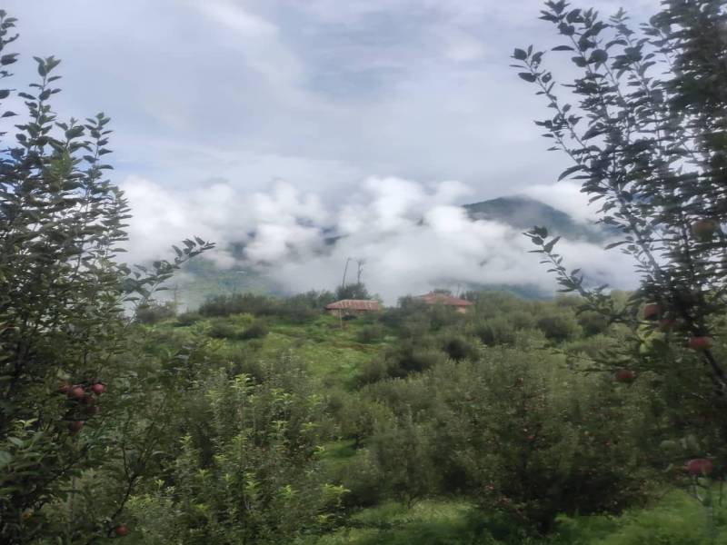 1 nights 2 days Himachal Tour