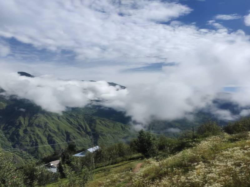 1 nights 2 days Himachal Tour