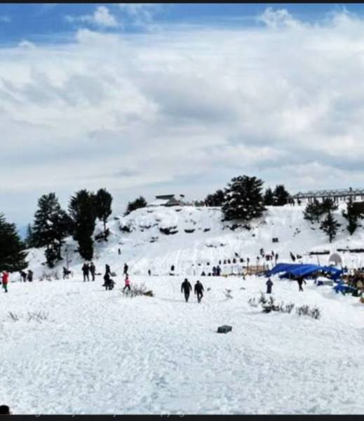 9 Days Shimla Manali Luxury Package