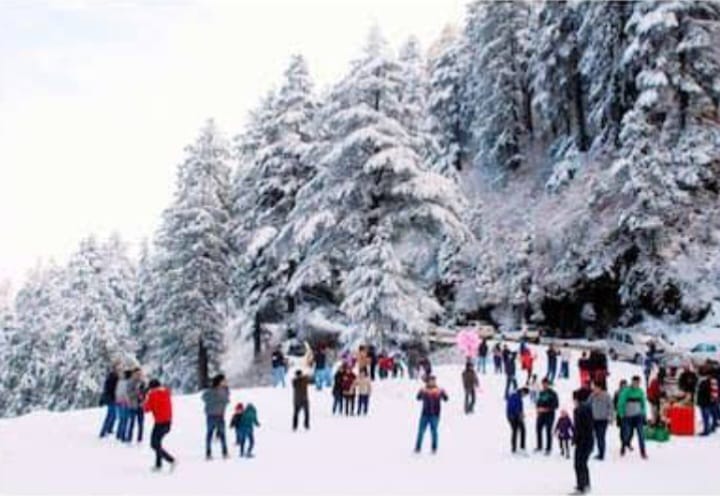 9 Days Shimla Manali Luxury Package