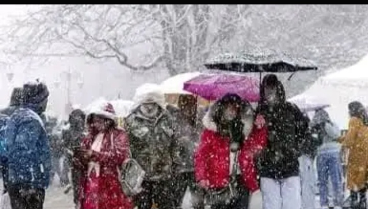 6 night 7  Day Shimla Manali Package