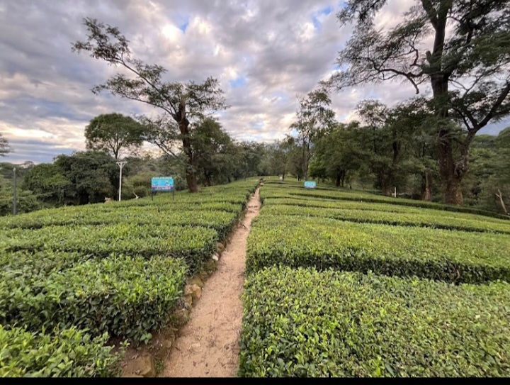 5nights/6days Himachal Package Tour