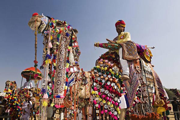 Pushkar Camel Fair Tour