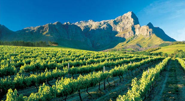 Full day Cape Winelands trike tour