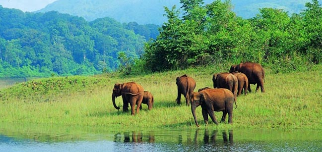 Kerala Tour Package-5D 4N MTHC