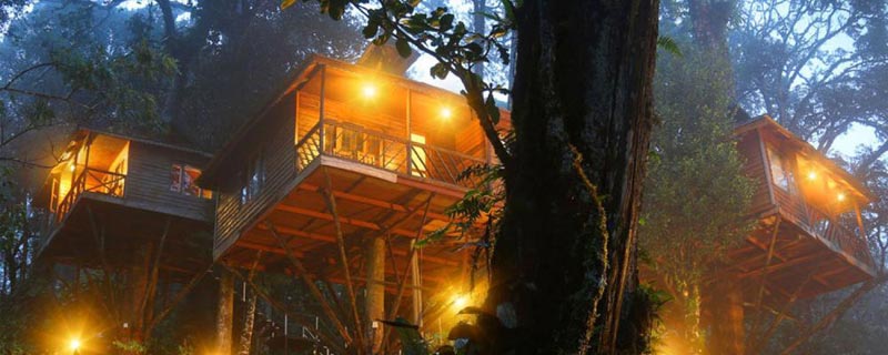 Munnar Tree House Tour Package