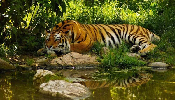 Sundarban 3N/4D Package