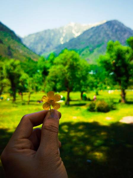 4 Nights 5 Days Kashmir package