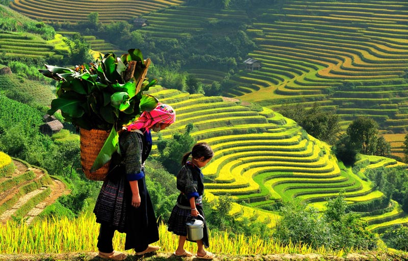 Amazing Lifetime Experience of North Vietnam 6 Days 5 Nights Package