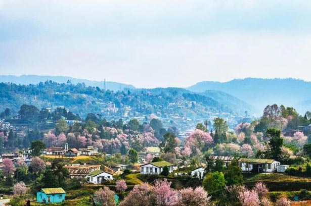 Amazing North East Guwahati / Shillong / Cherrapunjee Tour Package 4 Nights / 5 Days