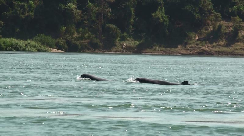 The Grand Cambodia Tours 12Days – 11Nights