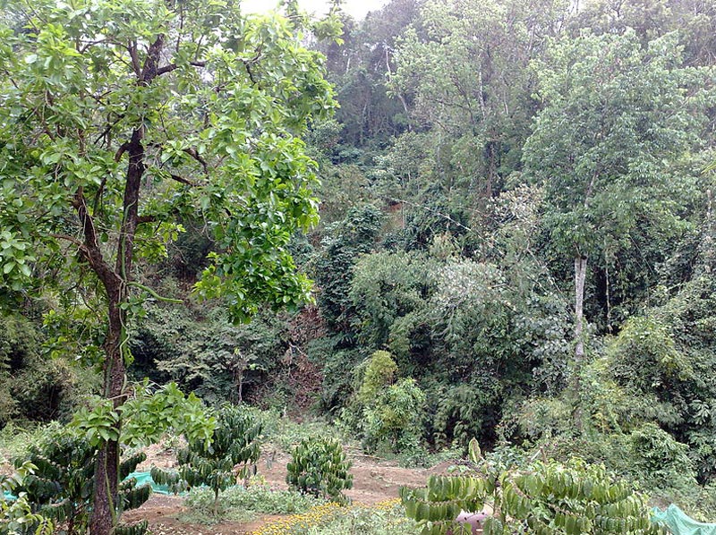 The Grand Cambodia Tours 12Days – 11Nights