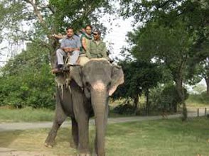 Hills With Wildlife Tour