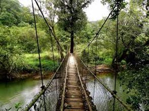 Coorg Tour Package From Bangalore