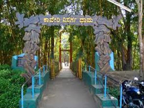 Bangalore Coorg Package
