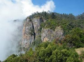 Bangalore Mysore Ooty Kodaikanal Package