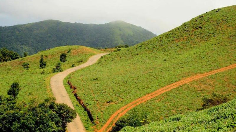 Coorg  4  Day  Tour
