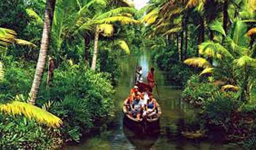 Beach And Backwater's Of Kerala Tour